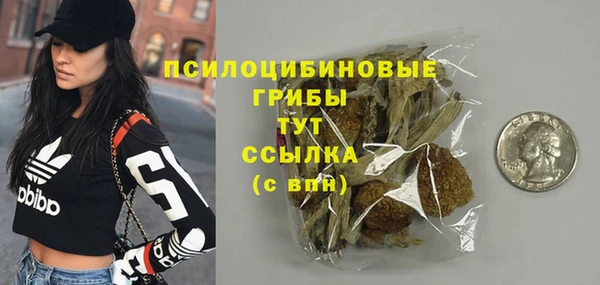 PSILOCYBIN Каменка