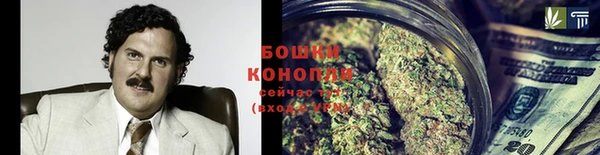 PSILOCYBIN Каменка
