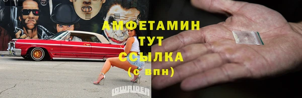 PSILOCYBIN Каменка