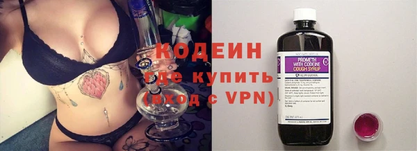 PSILOCYBIN Каменка