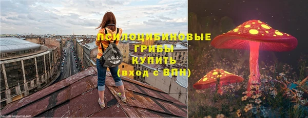 винт Каменногорск