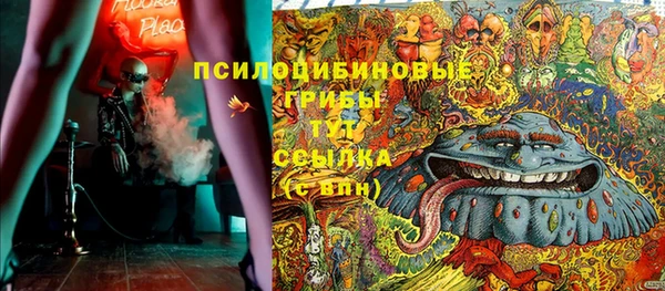 PSILOCYBIN Каменка