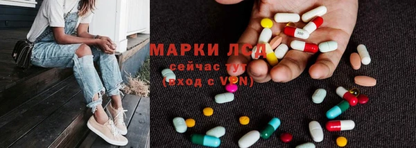PSILOCYBIN Каменка