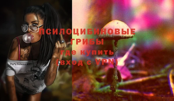 винт Каменногорск