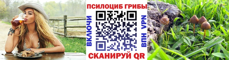 Купить  Олонец  Галлюциногенные грибы мухоморы 